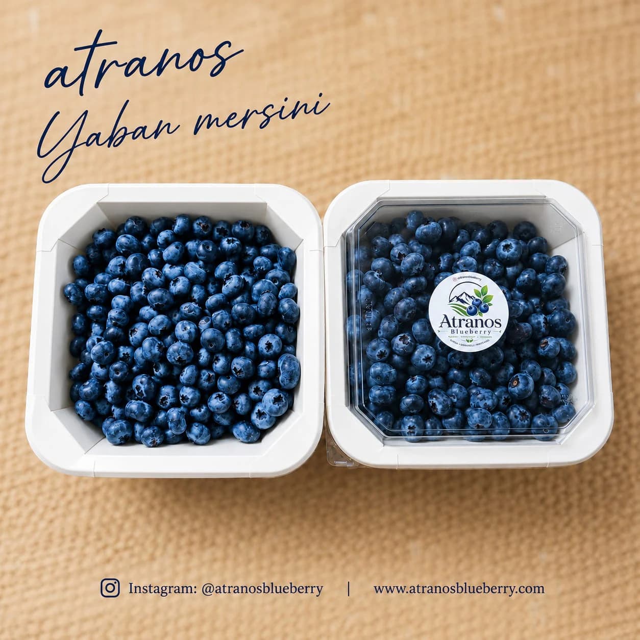 2 kg Al. Kargo Avantajlı / Atranos Yaban Mersini.
